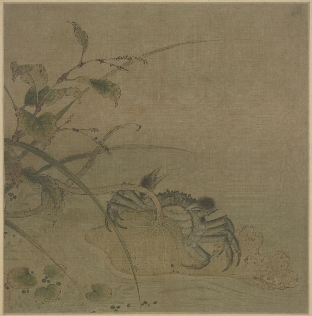 图片[1]-Picture page of lotus crab-China Archive